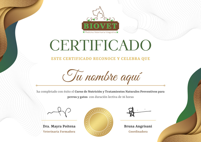 Certificado Tratamientos Preventivos tunombreaqui ok