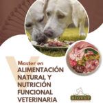 V MASTER EN ALIMENTACION NATURAL Y NUTRICION FUNCIONAL 1