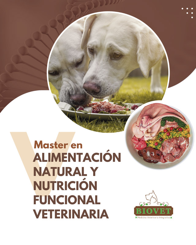 V MASTER EN ALIMENTACION NATURAL Y NUTRICION FUNCIONAL 1