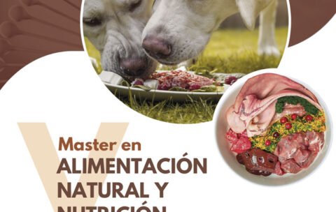 V MASTER EN ALIMENTACION NATURAL Y NUTRICION FUNCIONAL 1 480x304 1